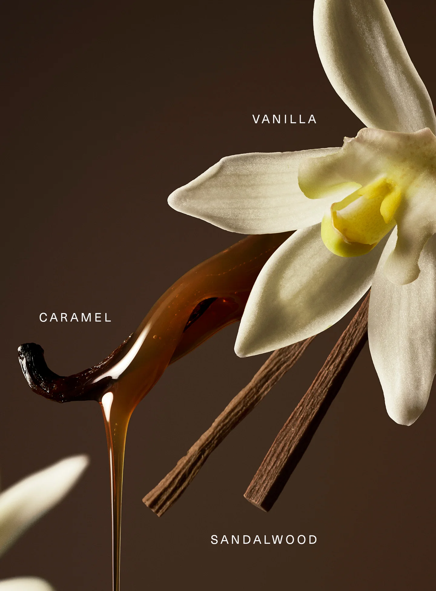 Набор парфюма Rare Beauty by Selena Gomez Rare Eau de Parfum Set