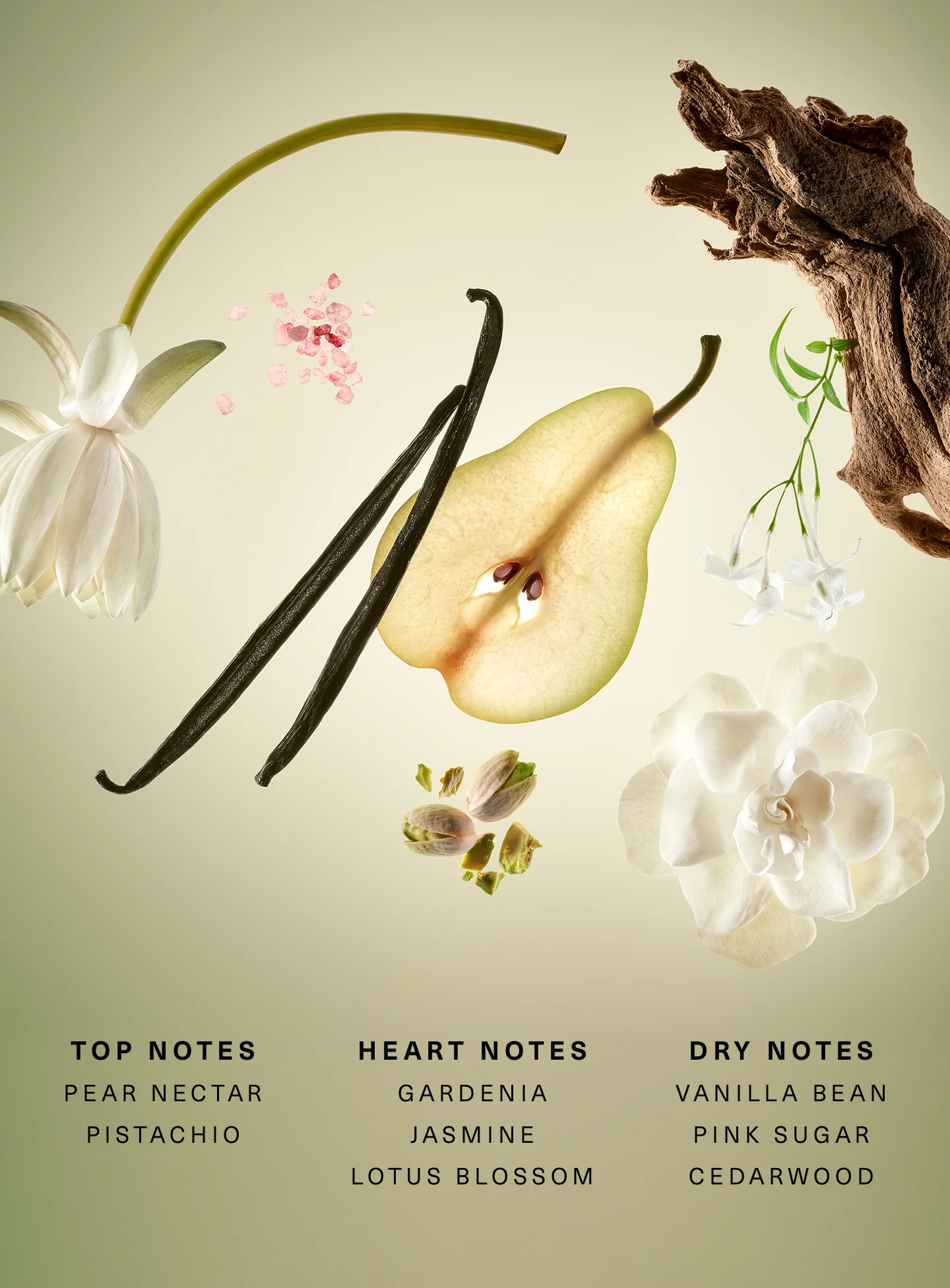 Набор парфюма Rare Beauty Rare Beginnings Mini Eau de Parfum Set